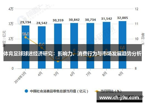 体育足球球迷经济研究：影响力、消费行为与市场发展趋势分析