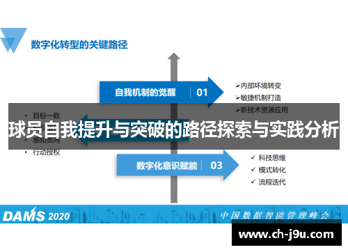 球员自我提升与突破的路径探索与实践分析