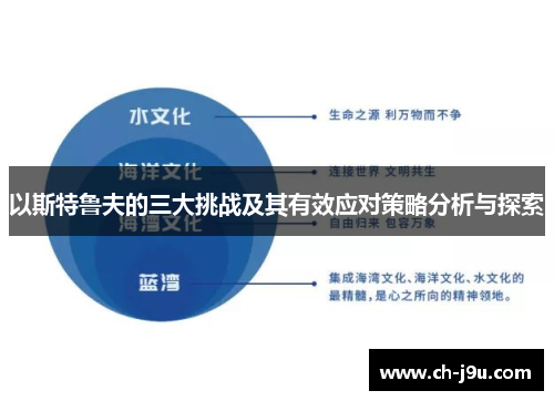 以斯特鲁夫的三大挑战及其有效应对策略分析与探索