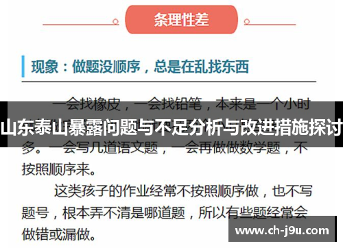 山东泰山暴露问题与不足分析与改进措施探讨