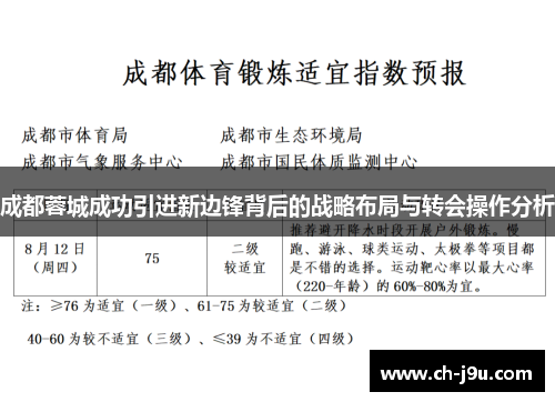 成都蓉城成功引进新边锋背后的战略布局与转会操作分析