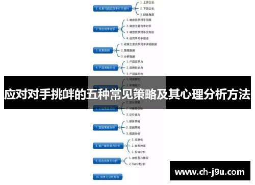 应对对手挑衅的五种常见策略及其心理分析方法